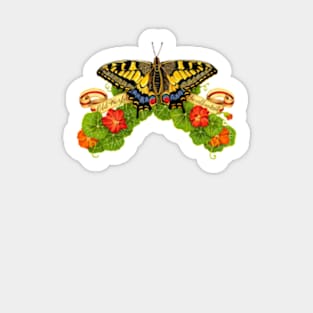 Old World Swallowtail Blue Rhapsody Sticker